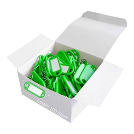Wedo Key 262801800 Plastic Keyring label, Removable Labels (100 Pack), Green