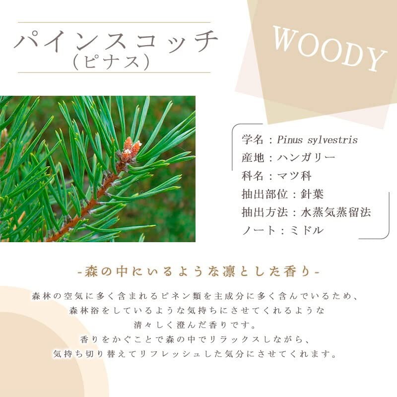 e-aroma Rose Absolute 2ml Essential Oil Essential Oil Aroma Oil