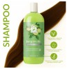 Shampoo Capilar De Bergamota Natural 1000 Ml