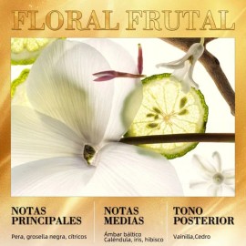 Perfume De Mujer Lonkoom Original Golden