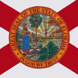 2 Pack Car Flags,Car Flag Florida State Flag Outdoor with State Flag and Car Flag Pole, Car Logo Window Clip Can be Clipped to Most Windows 14 inch Flag Pole and 16 x 10 inch Double Sided Flag.