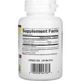 Natural Factors Black Elderberry, 100 mg, 60 Fast-Acting Softgels