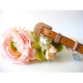 House of FurBaby Wedding Flower Dog Collar | Blush Wedding | Flower Dog Collar | XS S M L (L 13-16.5" Neck)