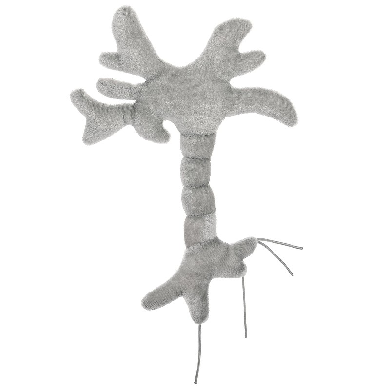 GIANTmicrobes Brain Cell Plush, Neuron Plush, Neuroscience Gift, Neurology Gifts,