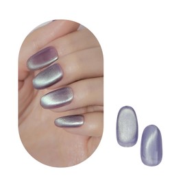 Real Fruit Magnet, 08 Real Fruit Magnet, Magnetic Nail, Color Gel