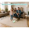 ZeLing HTL Remote Control Cat Toy with Auto Mode -