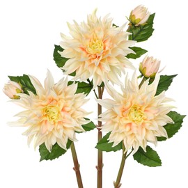 Arborus Artificial Dahlia Flowers – Set of 3 | 27.9" Tall Real-Touch Silk Dahlia Stems with Large 6.1" Blooms | Lifelike Ivory Faux Flowers for Home Decor, Wedding, Centerpieces & Floral Arrangements