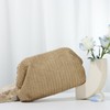 Fecialy Straw Clutch Handbag for Women Summer Beach Bag Dumpling