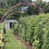 Garden Hoops Grow Tunnel, 12 Sets of 7FT Greenhouse Hoops