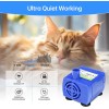 Does not apply Cat Water Fountain Pump, Replacement Pump (No