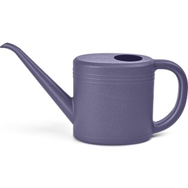 TTAOE GN Plant Watering Can for Home Garden - with Long Spout - 1/4 Gallon - Purple