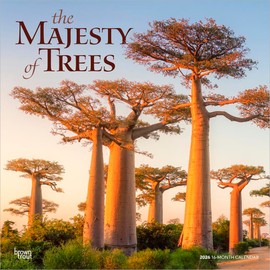 The Majesty of Trees | 2026 12 x 24 Inch (Hanging) Monthly Square Wall Calendar | Plastic-Free | BrownTrout | Nature Forests