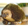 TAMMYFLYFLY Lifelike Echidna Plush Stuffed Animal Toy Echidna Animal Model