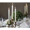 BOLSIUS Ivory Candlesticks Bulk Pack 50 Count - Unscented Dripless