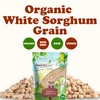 Food to Live Organic Great Plains White Sorghum Grain, 1