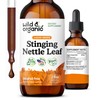 Wild & Organic Stinging Nettle Leaf Extract Drops - Urinary