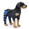 Dog Hind Leg Brace Breathable Elastic Shockproof Dog Leg Protector