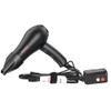 Mini Blow Dryer Ceramic Ionic 1000 Watts for Painting and