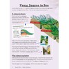 KS2 Geography Discover & Learn: Rivers Study Book (CGP KS2