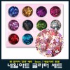 Nail art star glitter 12-piece set 3mm / 네일아트 별