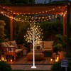 ooLALoo 6 FT Lighted Birch Tree with 128 Led Lights