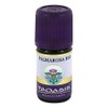 PALMAROSA Organic Oil 5 ml