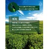 桑の葉茶 粉末 国産 パウダー 国産 添加物不使用 ノンカフェイン 農薬不使用 100ｇ 約66杯分