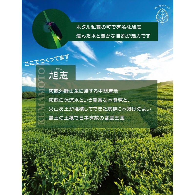 桑の葉茶 粉末 国産 パウダー 国産 添加物不使用 ノンカフェイン 農薬不使用 100ｇ 約66杯分
