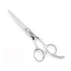 6 Inch Professional Hair Scissors Professional 440C Stainless Steel Hair