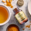Solgar Standardized Turmeric Root Extract 400 mg, 60 Vegetable Capsules