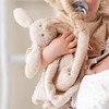 Nattou Teddy - DouDou Maxi Bunny Comforter, Soft Cuddly, Baby