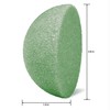 FloraCraft FloraFōM Half Ball 1.9 Inch x 3.8 Inch Green