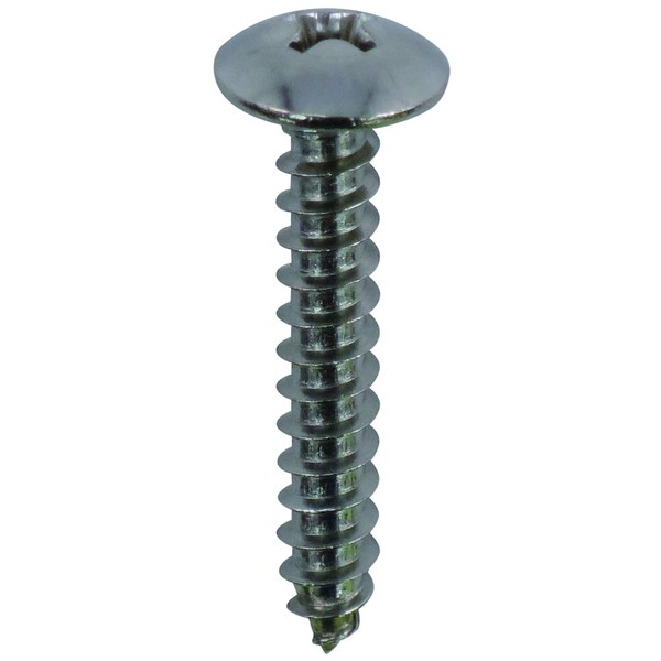 DAIDOHANT 10173870 Stainless Steel Tapping Screw [Truss Head] (Nominal Diameter