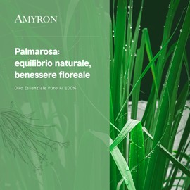 Palmarosa ätherisches Öl 30 ml AMYRON | Cymbopogon Martini | 100% Rein & Natürlich | Ideal für Aromatherapie & Therapeutische Nutzung | Für Diffusor | Lebensmittelqualität | Massagen | GMO-frei