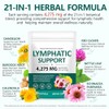 Lymphatic Support Supplement with 21 Botanical Extracts – 240 PCS