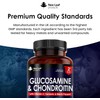 Glucosamine and Chondroitin High Strength - Enriched With Turmeric And