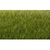 Woodland Scenics 7mm Static Grass Dark Green