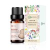 AOPING Hinoki Essential Oil - 100% Pure Organic Natural Plant