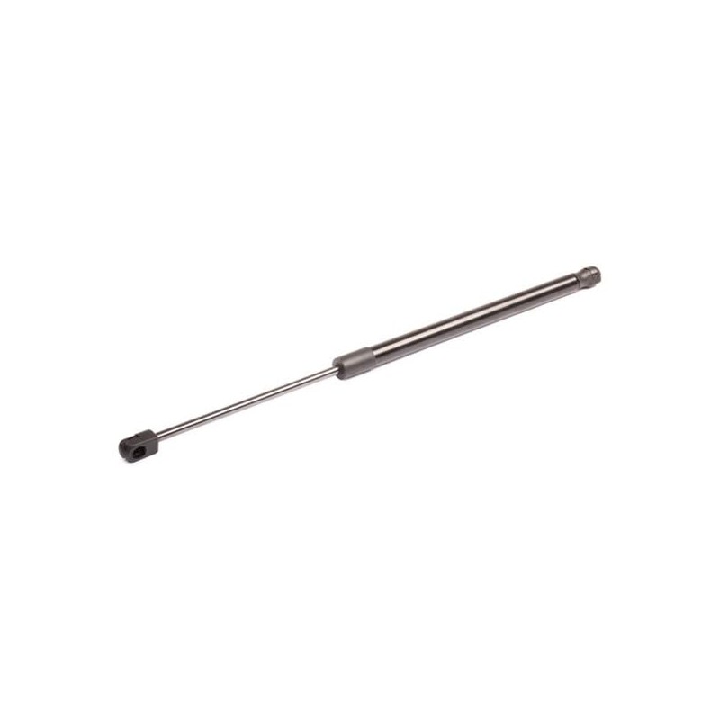 RIDEX Tailgate Damper 219G0611 Countryman (R60) 495 mm