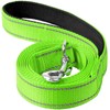 Erbine 6ft Dog Leash for Small Medium Large Dogs |