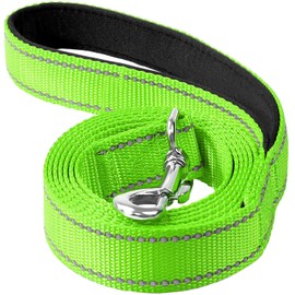 Erbine 6ft Dog Leash for Small Medium Large Dogs | One-Sided Reflective Nylon | Padded Handle | 3/4 inch Wide | Green