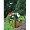Garden Artisans 14 in Bellus Hanging Basket - 2 Pack