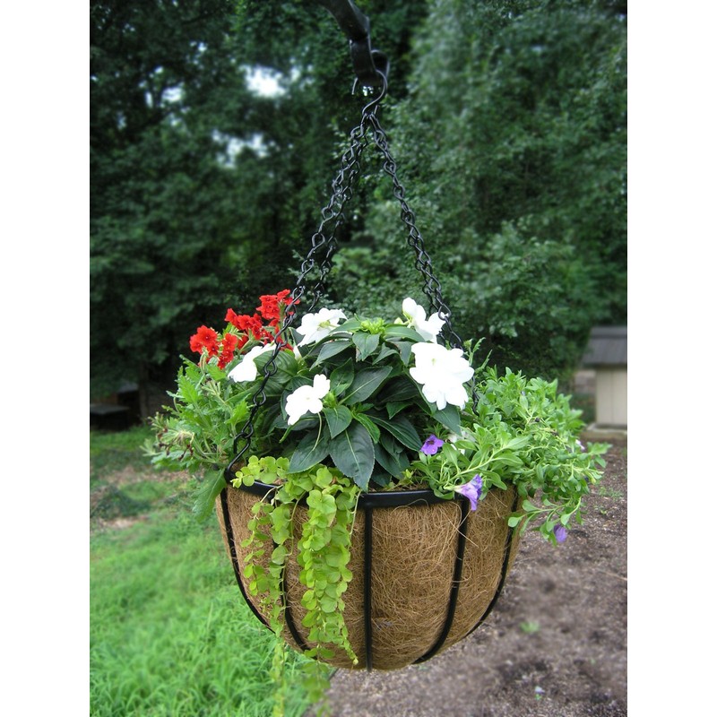 Garden Artisans 14 in Bellus Hanging Basket - 2 Pack