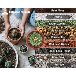 O-FarFarm Cactus Soil Potting Mix 1.1 LBS, Optimized PH Fast Draining with Added Nutrients, Perfect for Small Cactus Pots