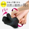 アルファックス Bunions, Socks, Twisted Bunions, 8.7 - 9.8 inches (22.0