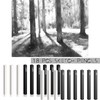 18Pcs Compressed Charcoal Square Strips Graphite Sketch Charcoal Sketch Charcoal