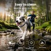 PawView Hundehalsband aus echtem Leder mit Smart-ID-Tag, verstellbar und personalisiert