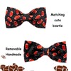 Lionheart glory Dog Collar Bowtie Collar Dog Rugby Dog Collar