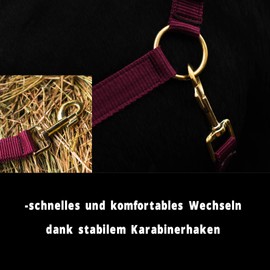 Horse Halter for Warm-Blood, Thoroughbred and Cold-Blood – Stable Halter, Field Halter, 2 Adjustable Positions on Chin Strap and Headpiece, Safe & Tear-Resistant