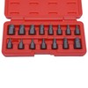 Hess eLink® Be 100 Special Screw Extractor Set (Set of